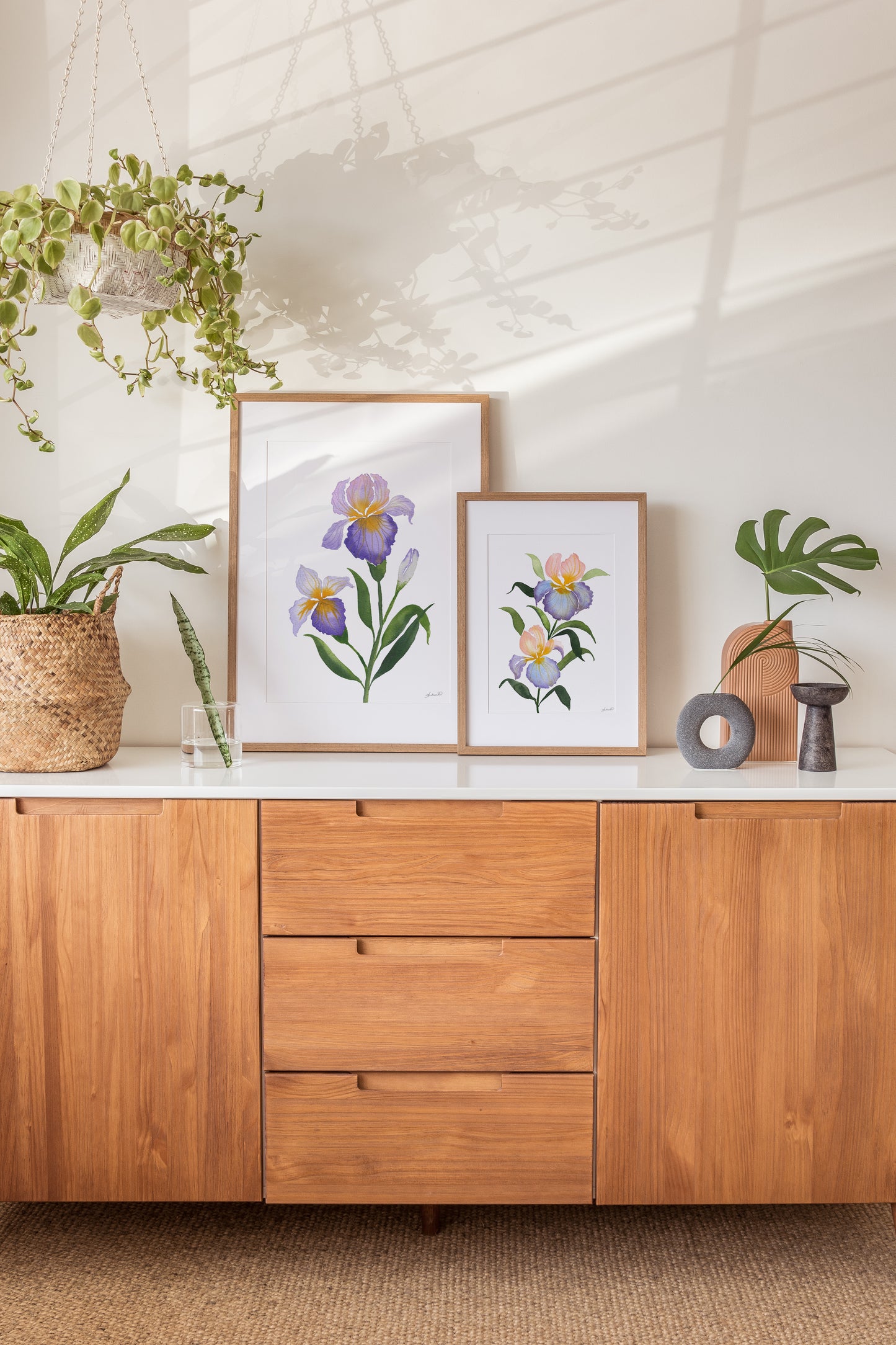 Set of 5, Bearded Iris Collection of Watercolor Fine Art Prints