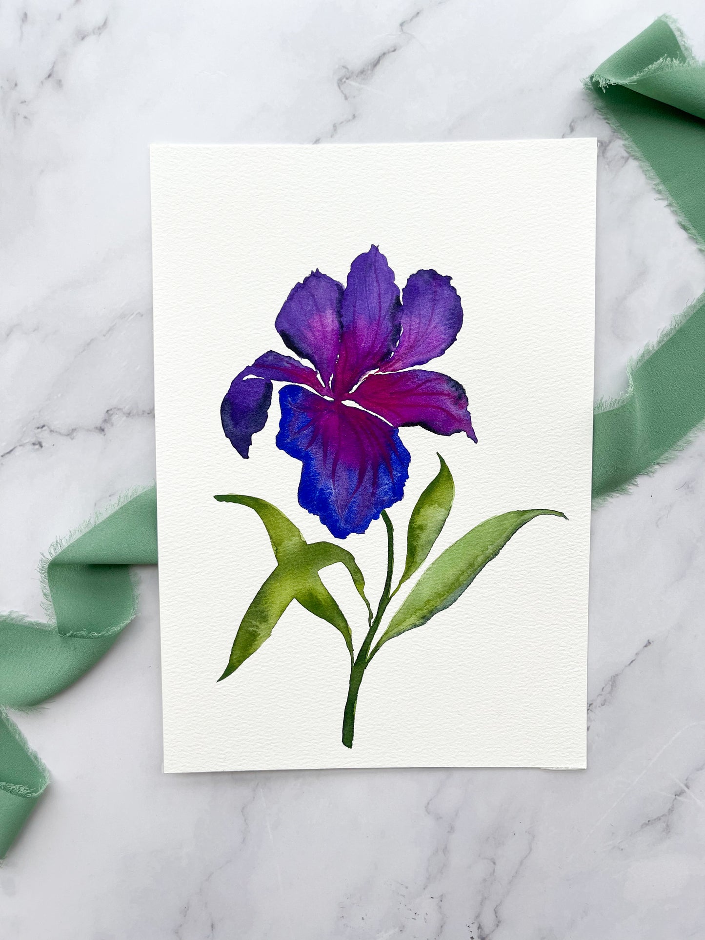 Blue Bearded Iris Watercolor Floral Fine Art Print