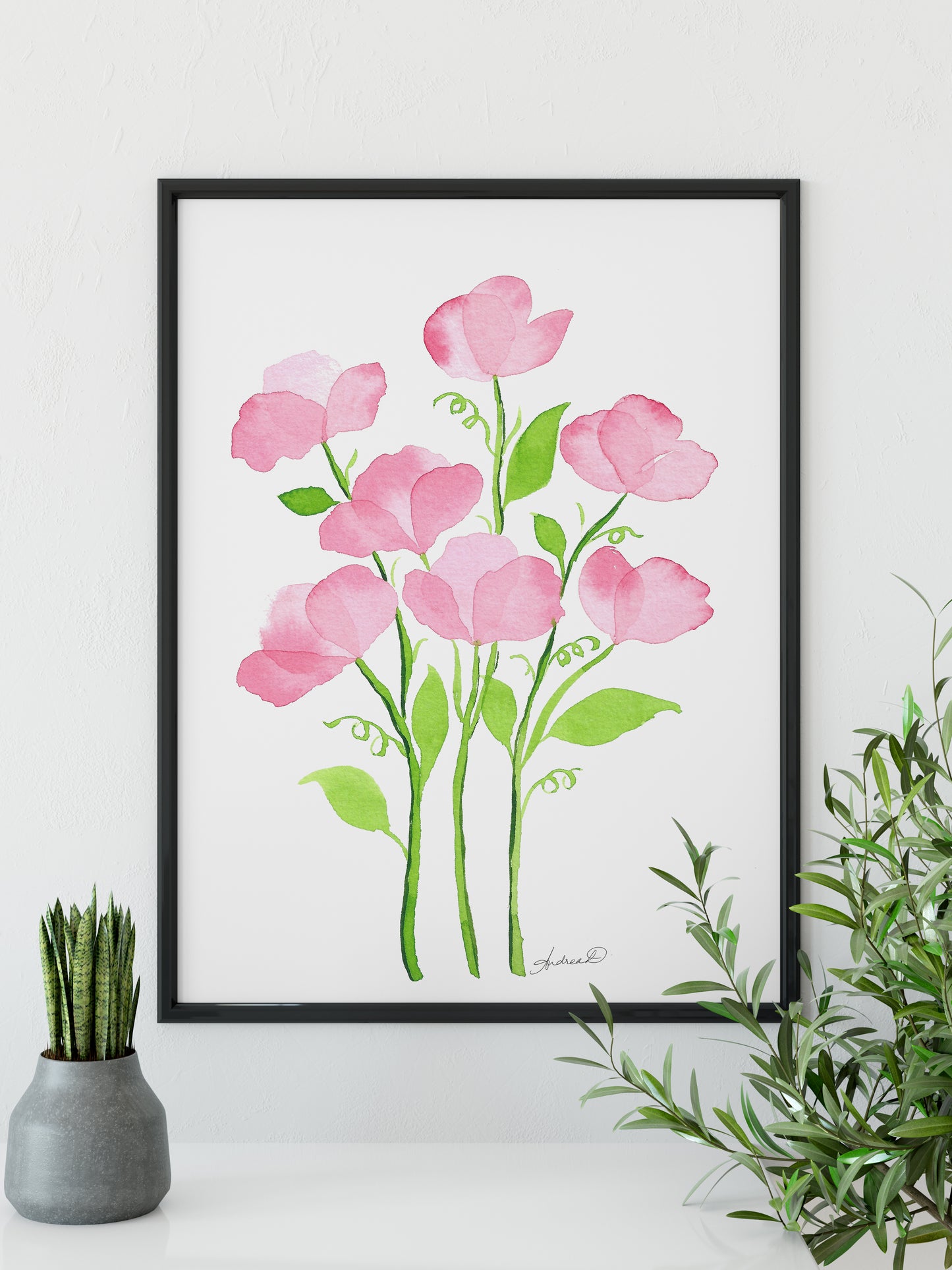 Pink Sweet Peas Watercolor Fine Art Print