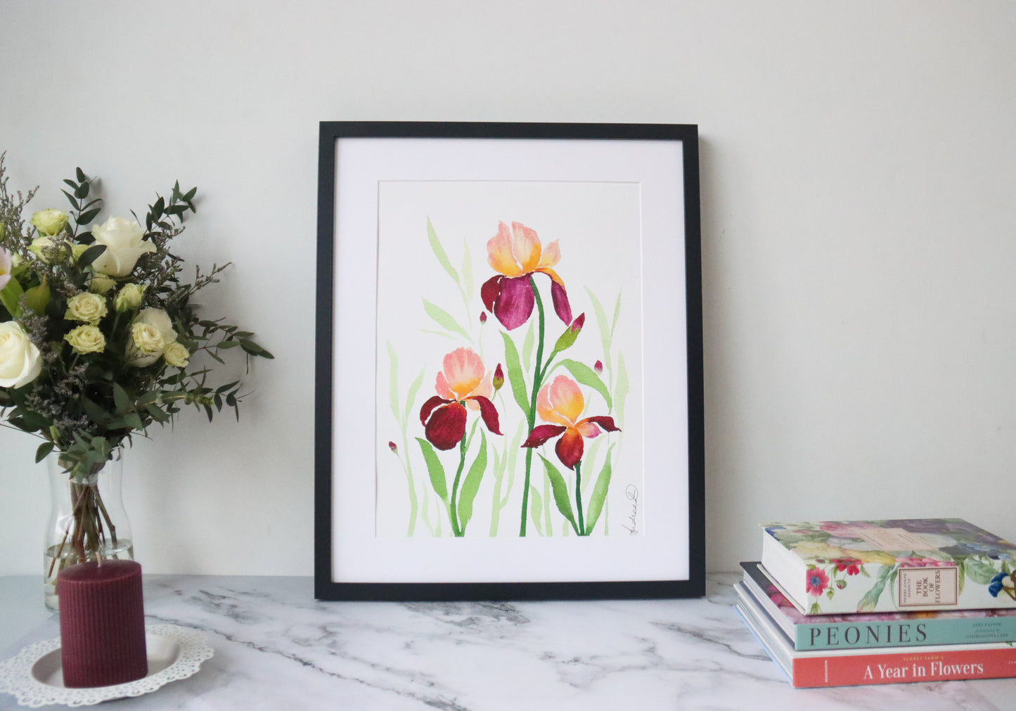 NEW! Peach & Maroon Bearded Iris Delight Fine Art Print