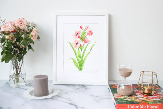 NEW! Peach Watsonia Meriana Fine Art Print