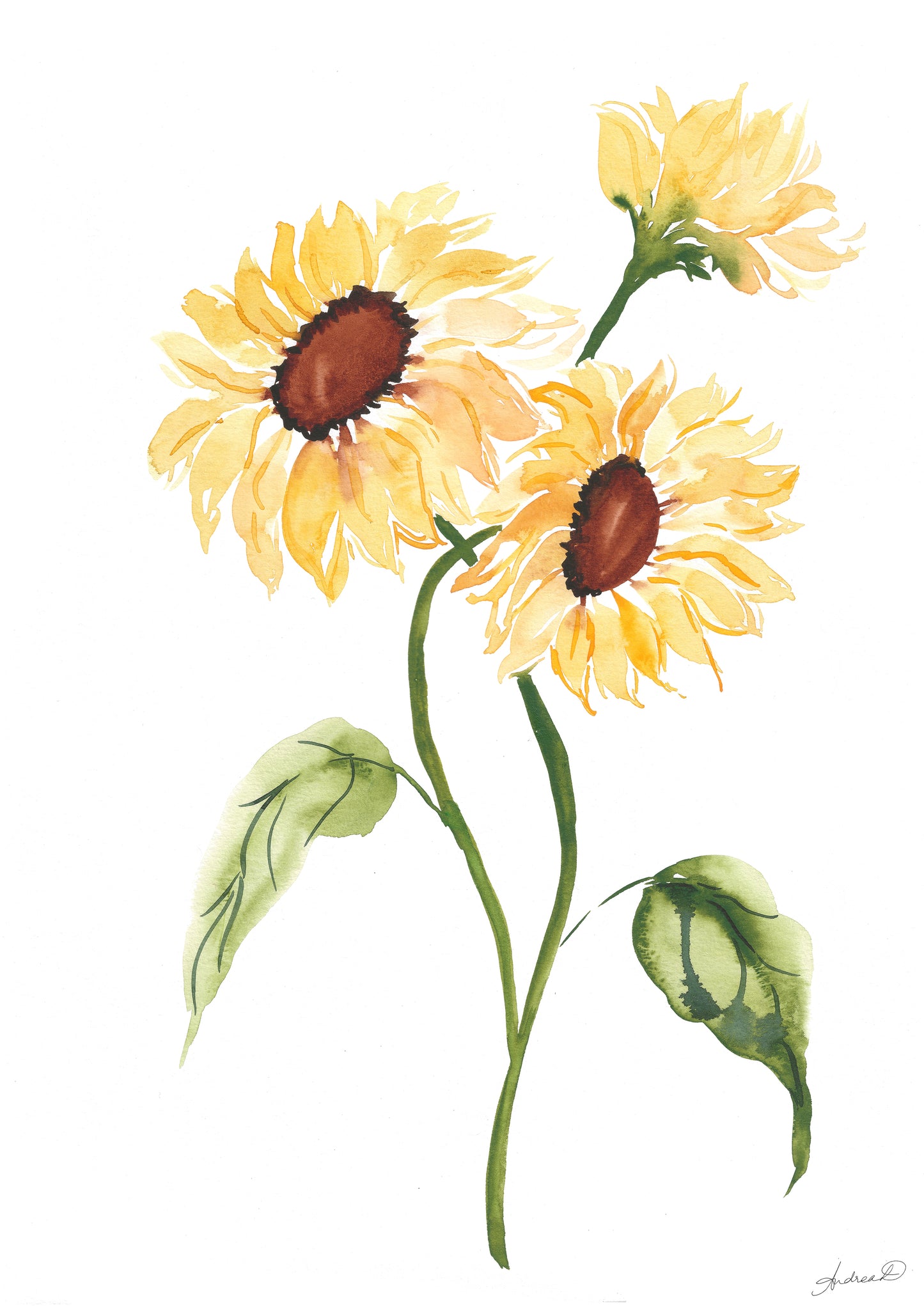 Sunflowers Watercolor Fine Art Print