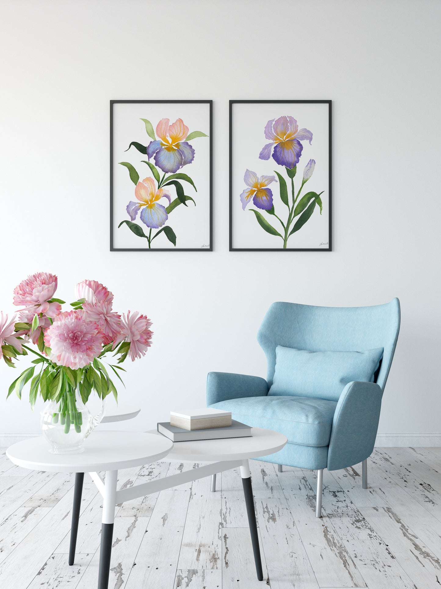 Set of 5, Bearded Iris Collection of Watercolor Fine Art Prints