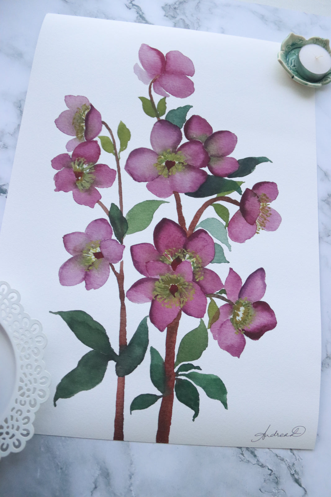 NEW! Moody Pink Hellebores Fine Art Print