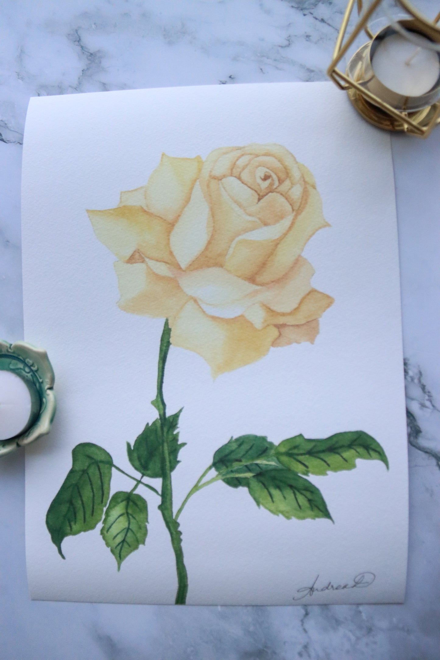 NEW! Muted Cream Rose Fine Art Print