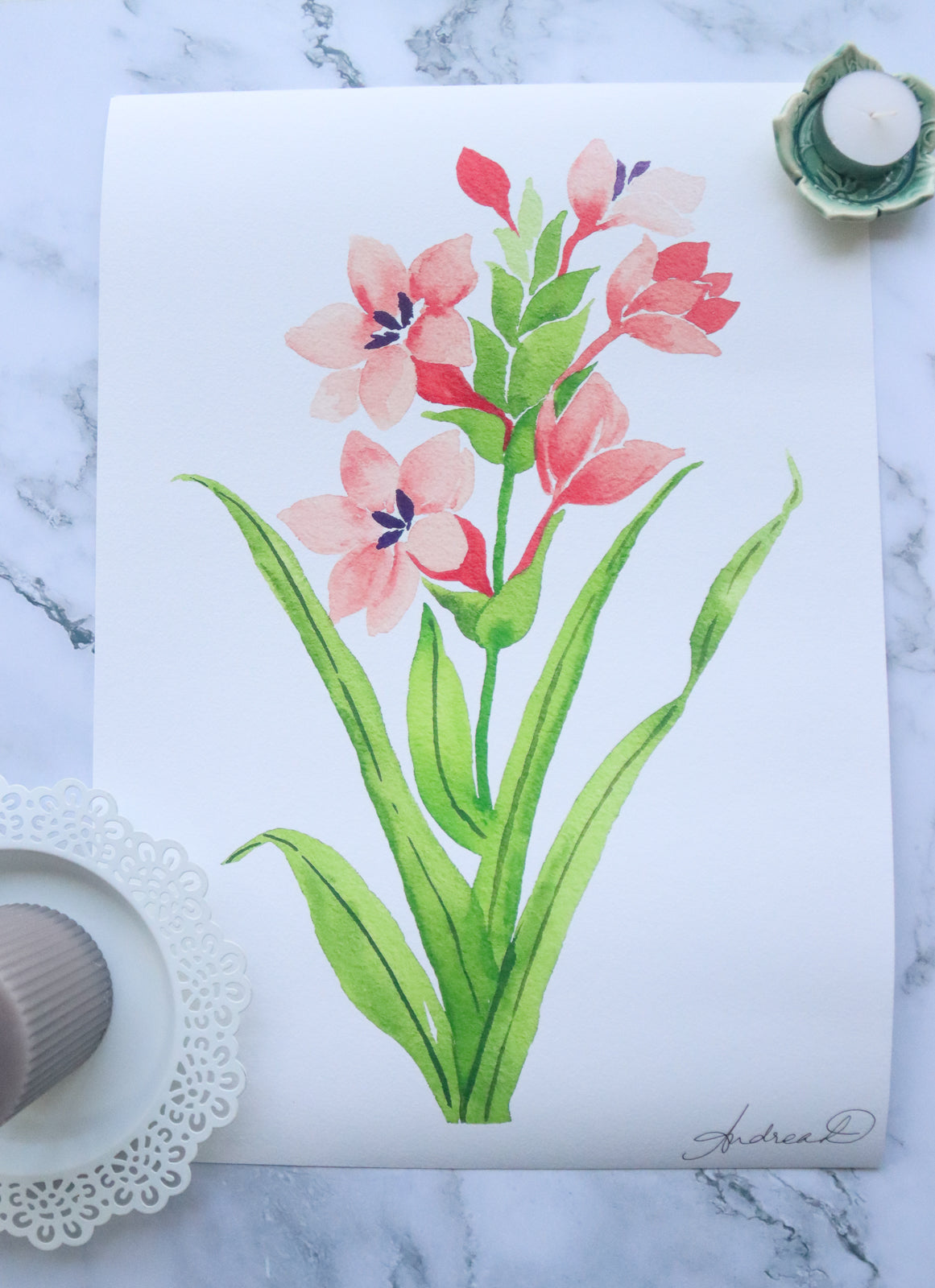 NEW! Peach Watsonia Meriana Fine Art Print