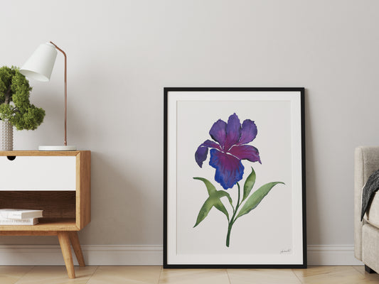 Blue Bearded Iris Watercolor Floral Fine Art Print