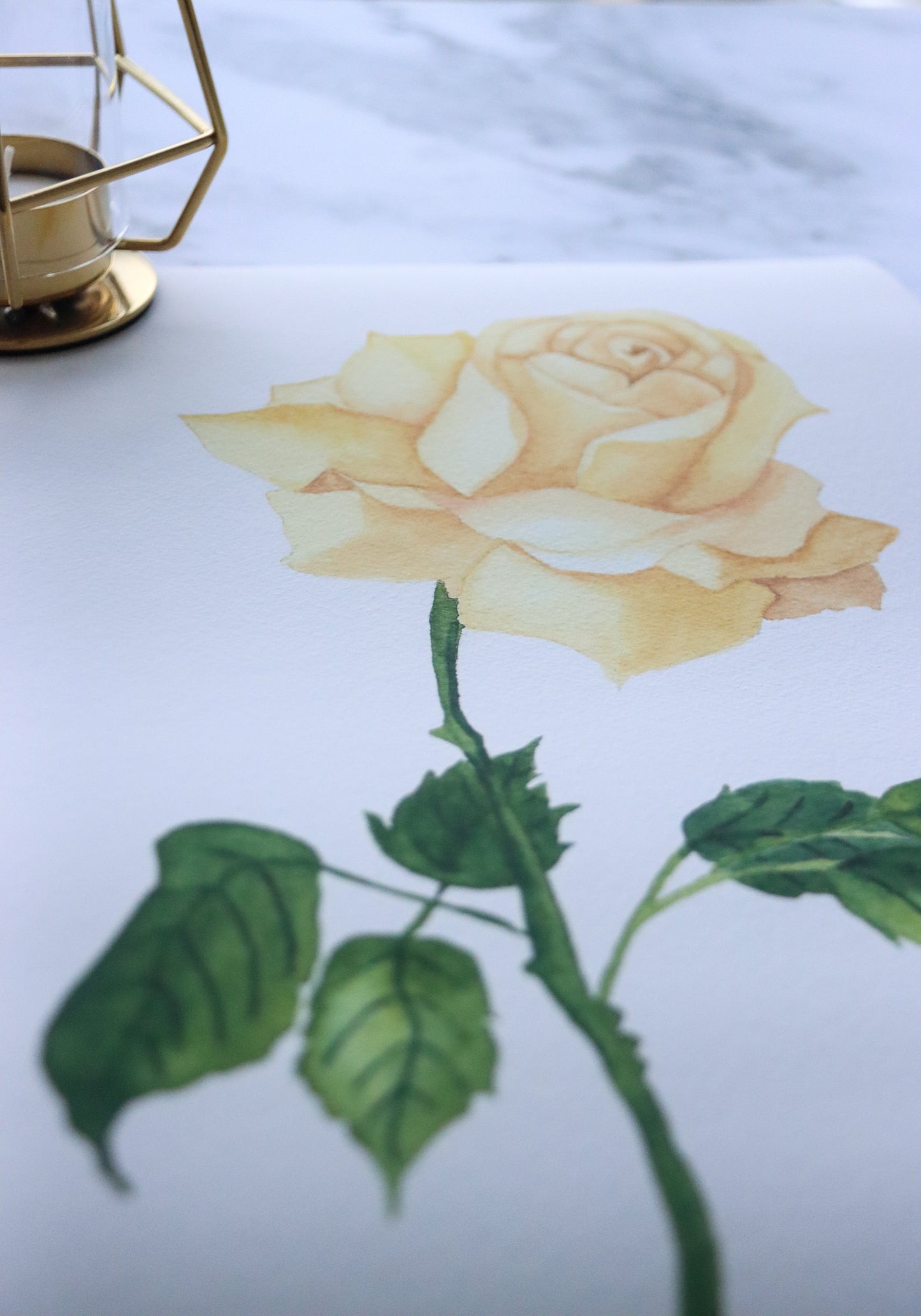 NEW! Muted Cream Rose Fine Art Print