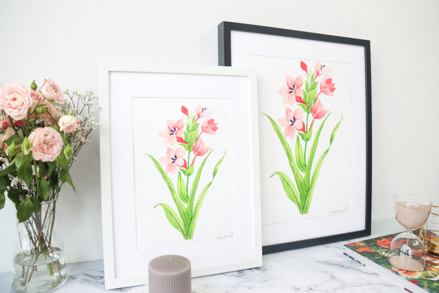 NEW! Peach Watsonia Meriana Fine Art Print