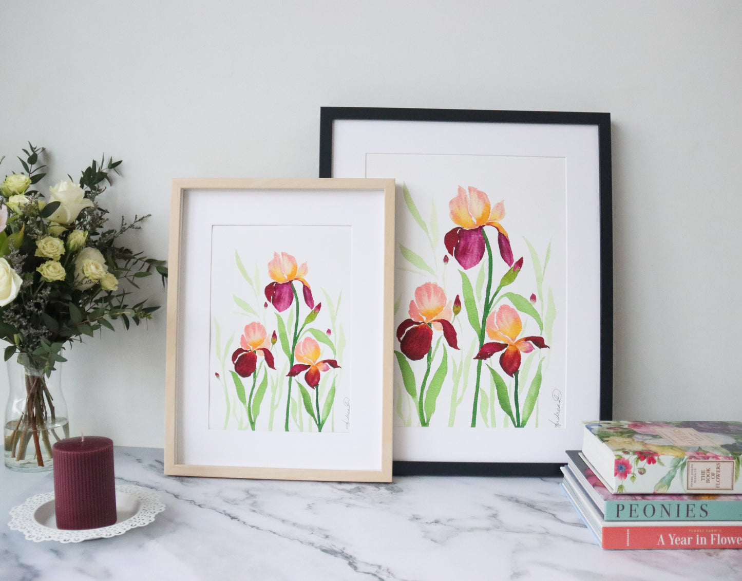 NEW! Peach & Maroon Bearded Iris Delight Fine Art Print