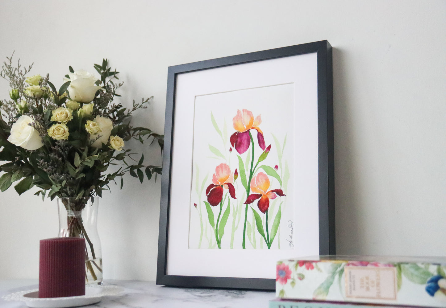 NEW! Peach & Maroon Bearded Iris Delight Fine Art Print