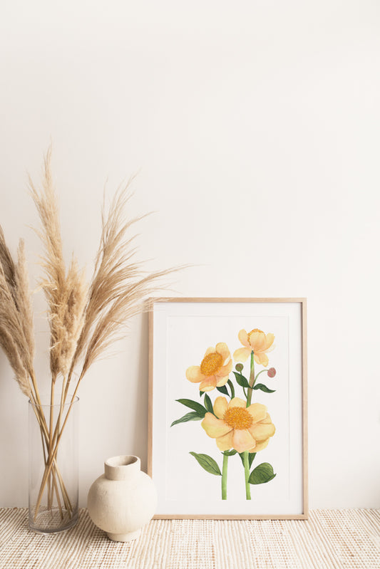 Yellow Anemones Watercolor Fine Art Print