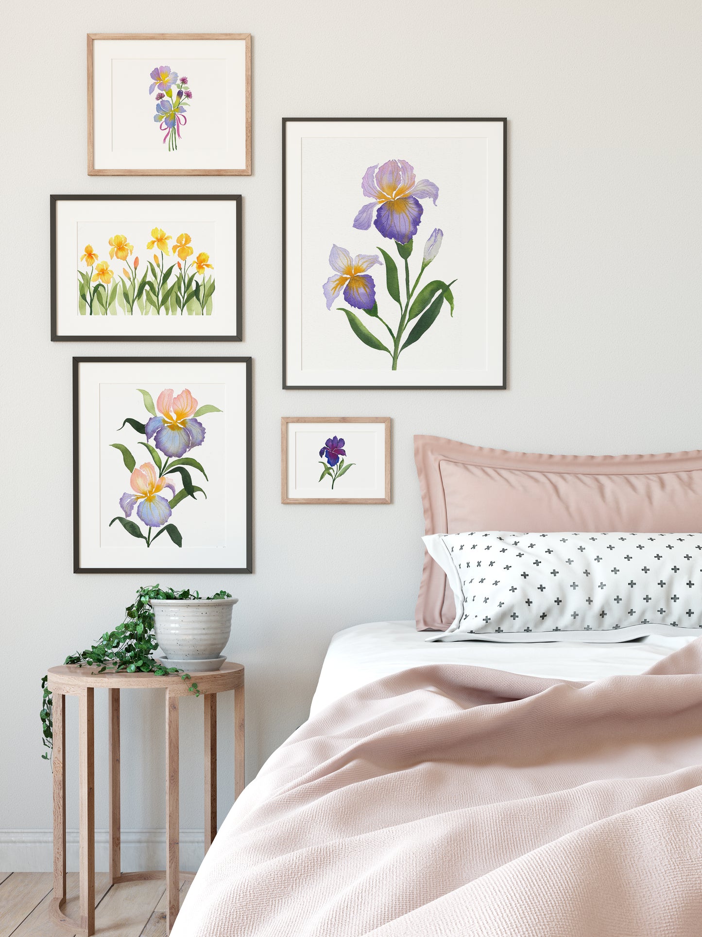 Set of 5, Bearded Iris Collection of Watercolor Fine Art Prints