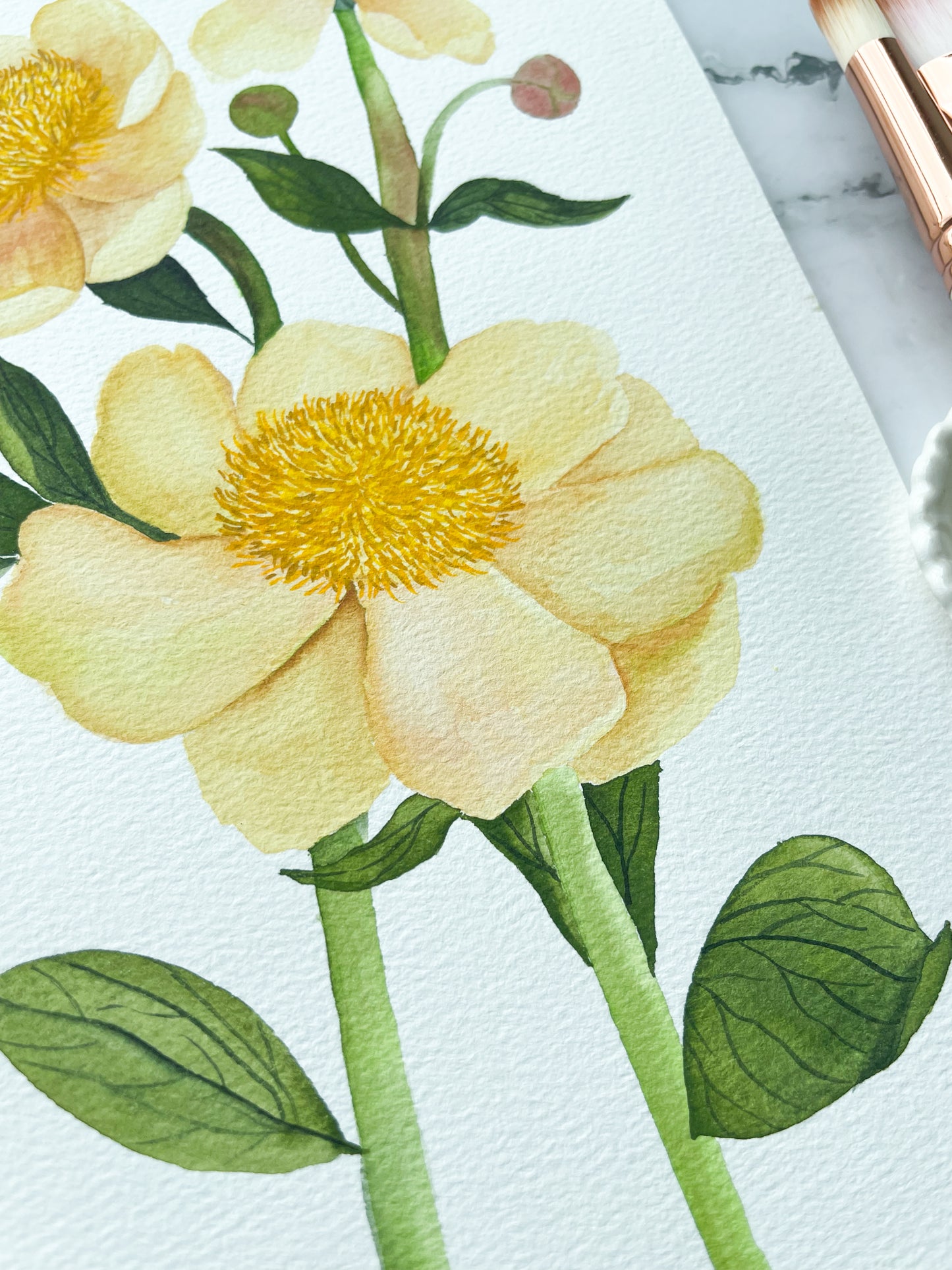 Yellow Anemones Watercolor Fine Art Print