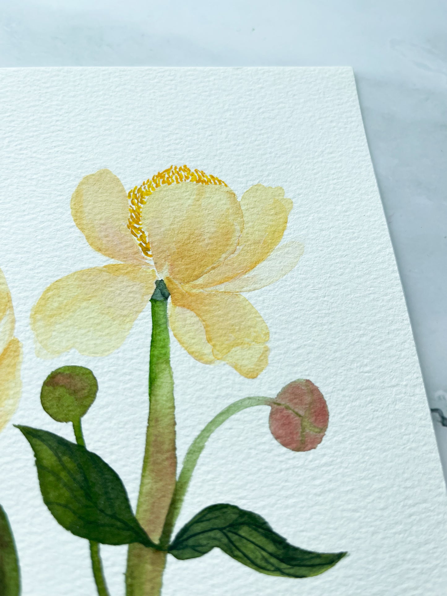 Yellow Anemones Watercolor Fine Art Print