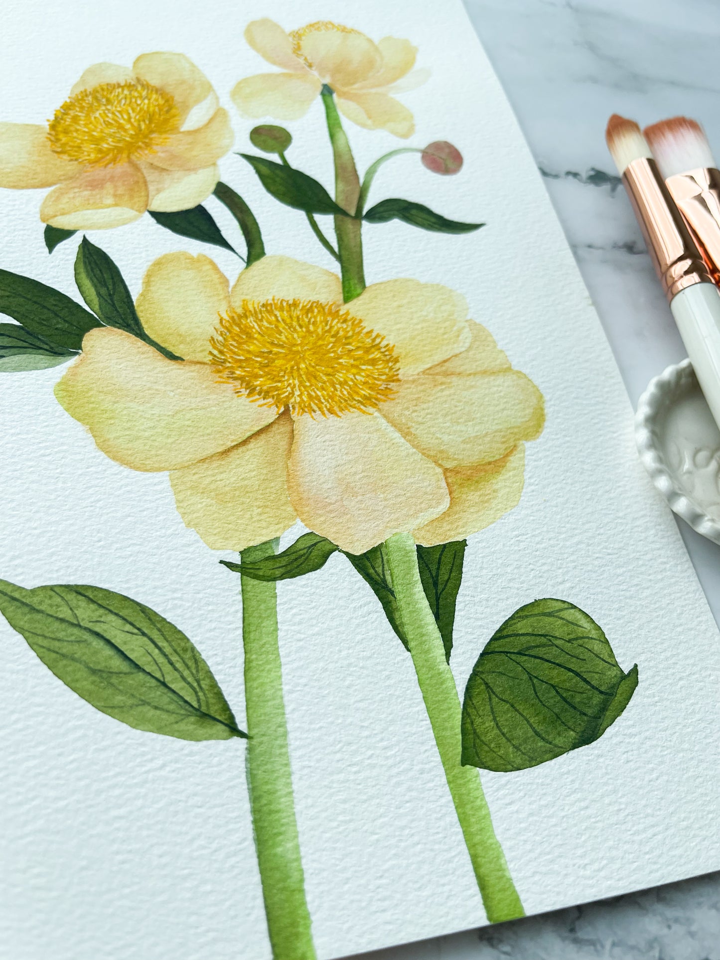 Yellow Anemones Watercolor Fine Art Print