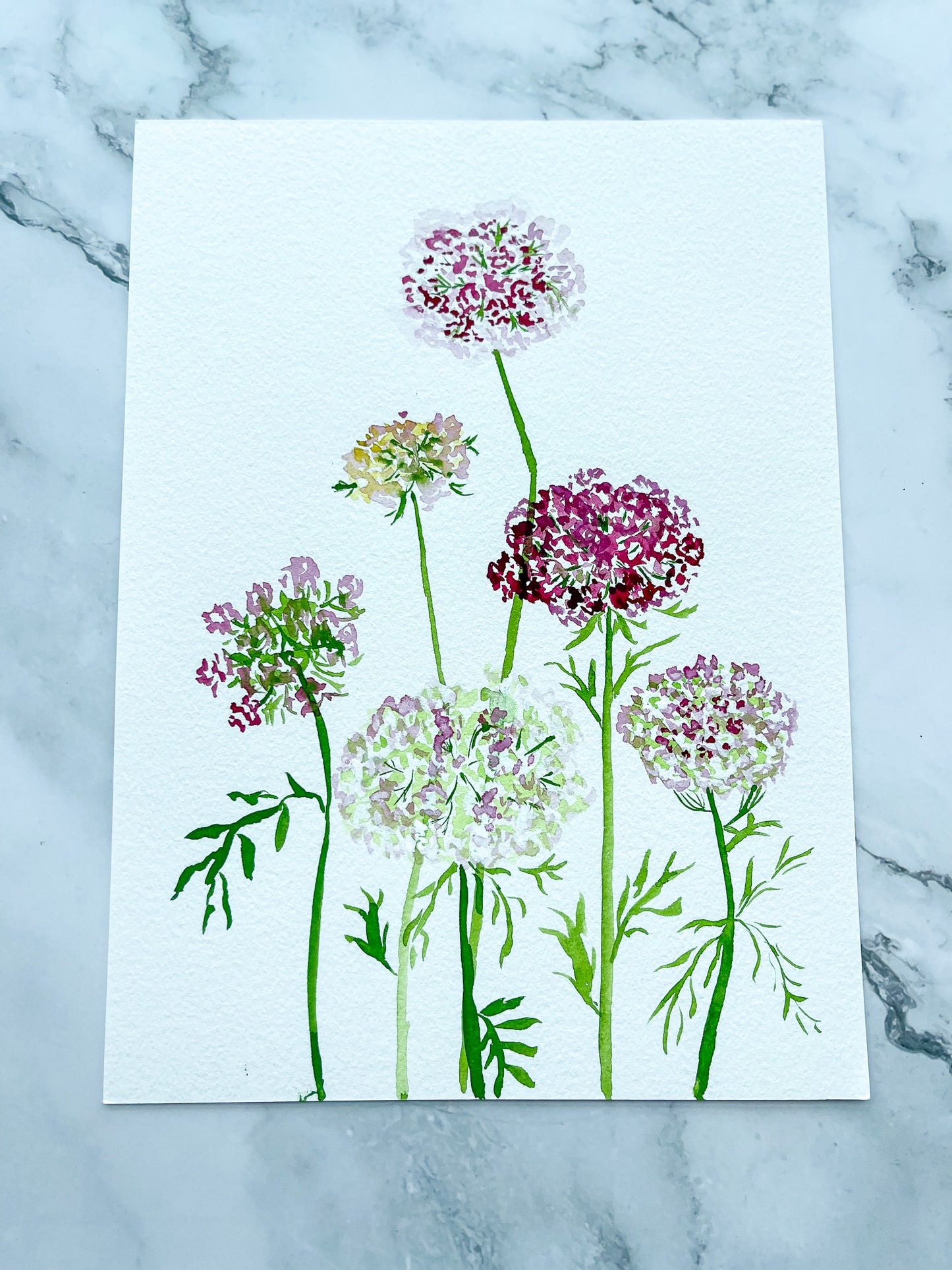 Queen Anne's Lace Floral Watercolor Fine Art Print