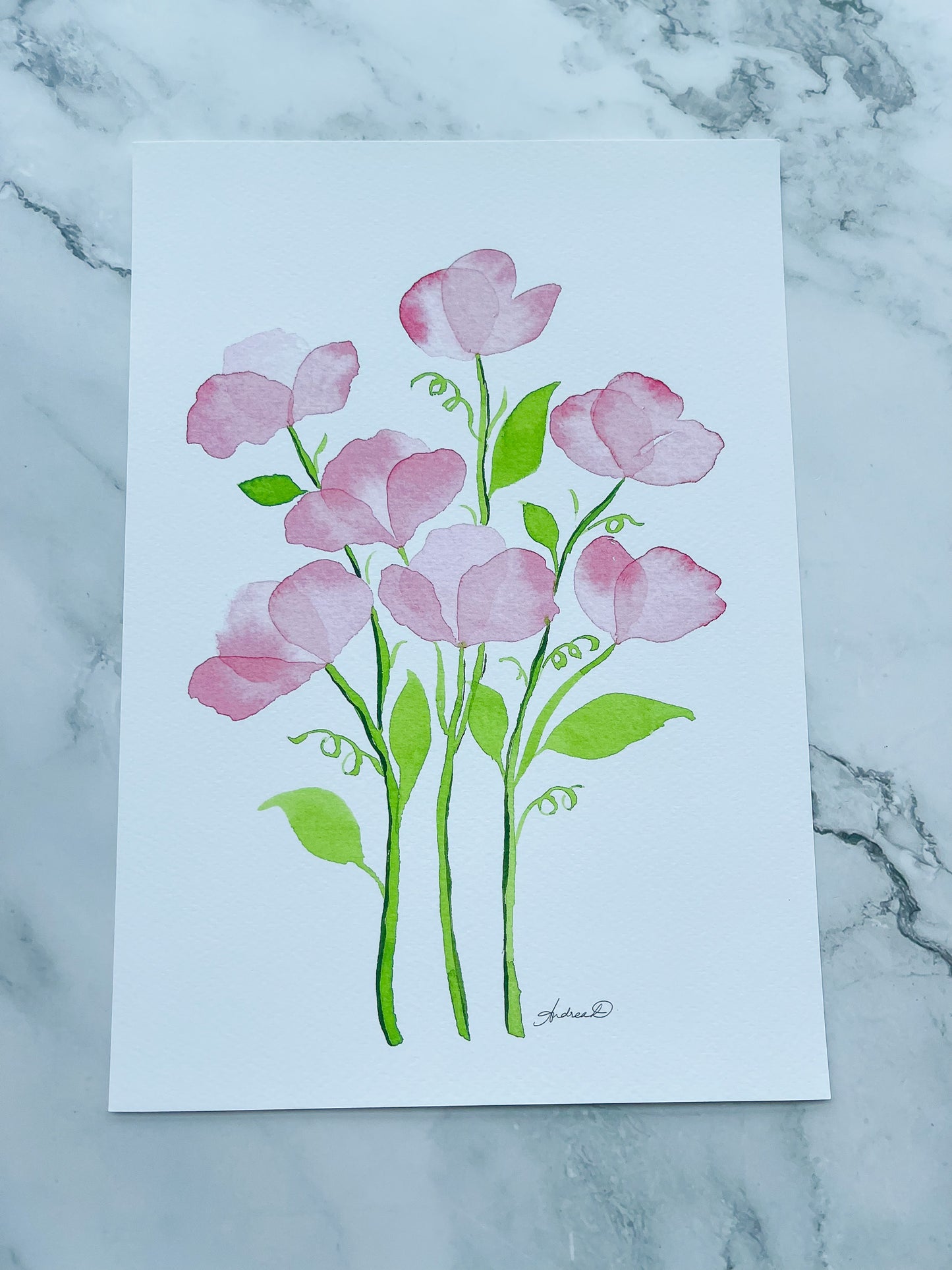 Pink Sweet Peas Watercolor Fine Art Print