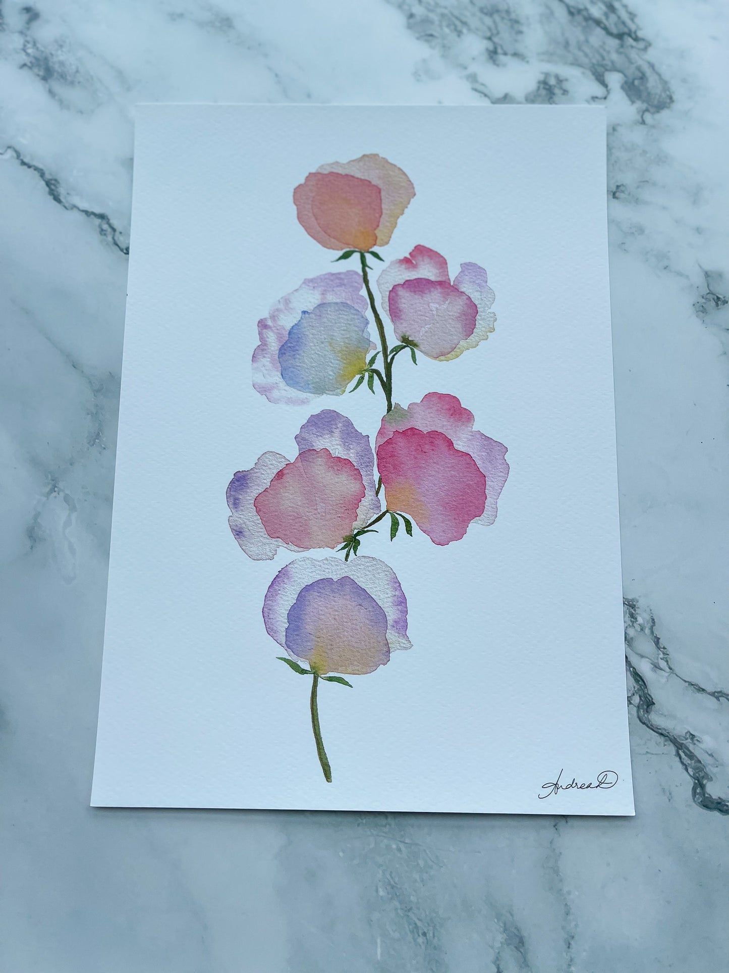 Pink - Lavender Sweet Peas Watercolor Fine Art Print