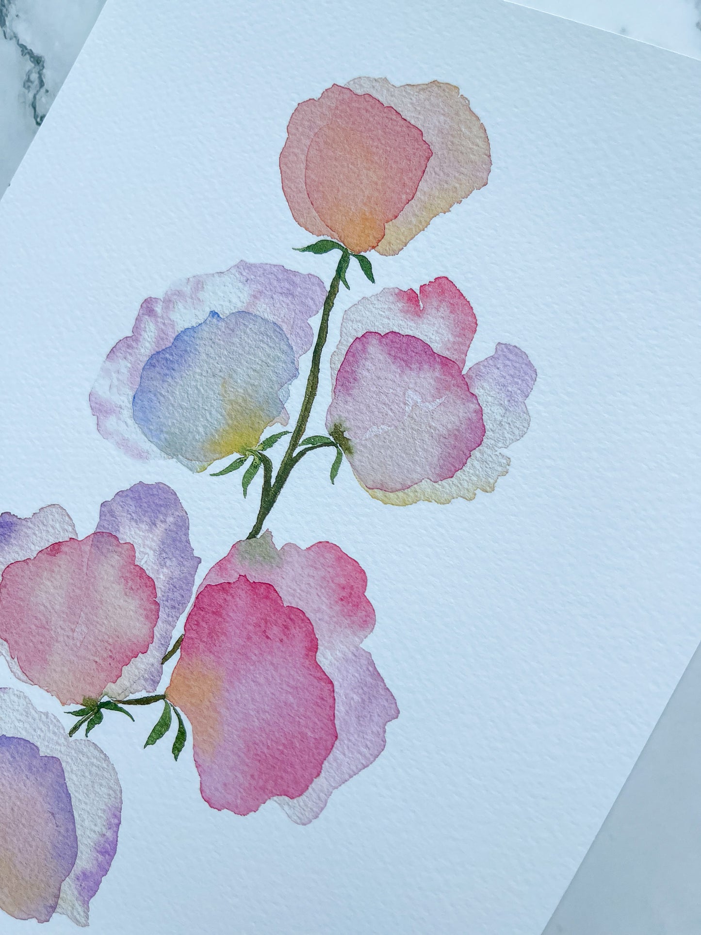 Pink - Lavender Sweet Peas Watercolor Fine Art Print