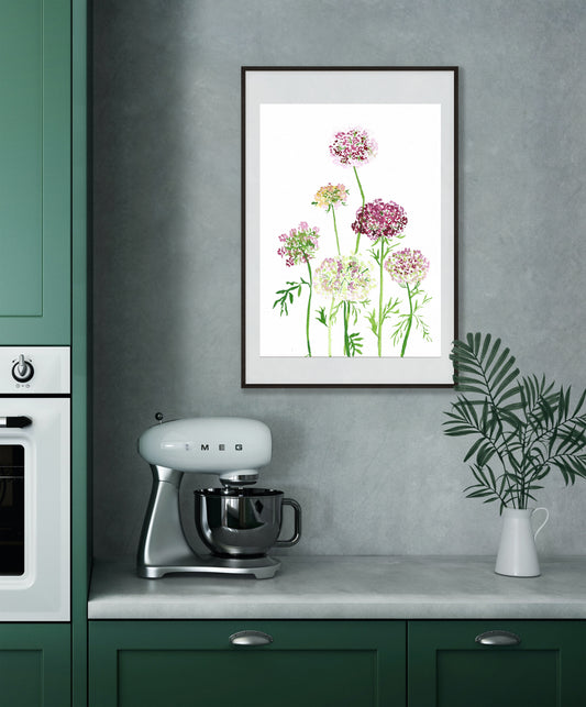 Queen Anne's Lace Floral Watercolor Fine Art Print