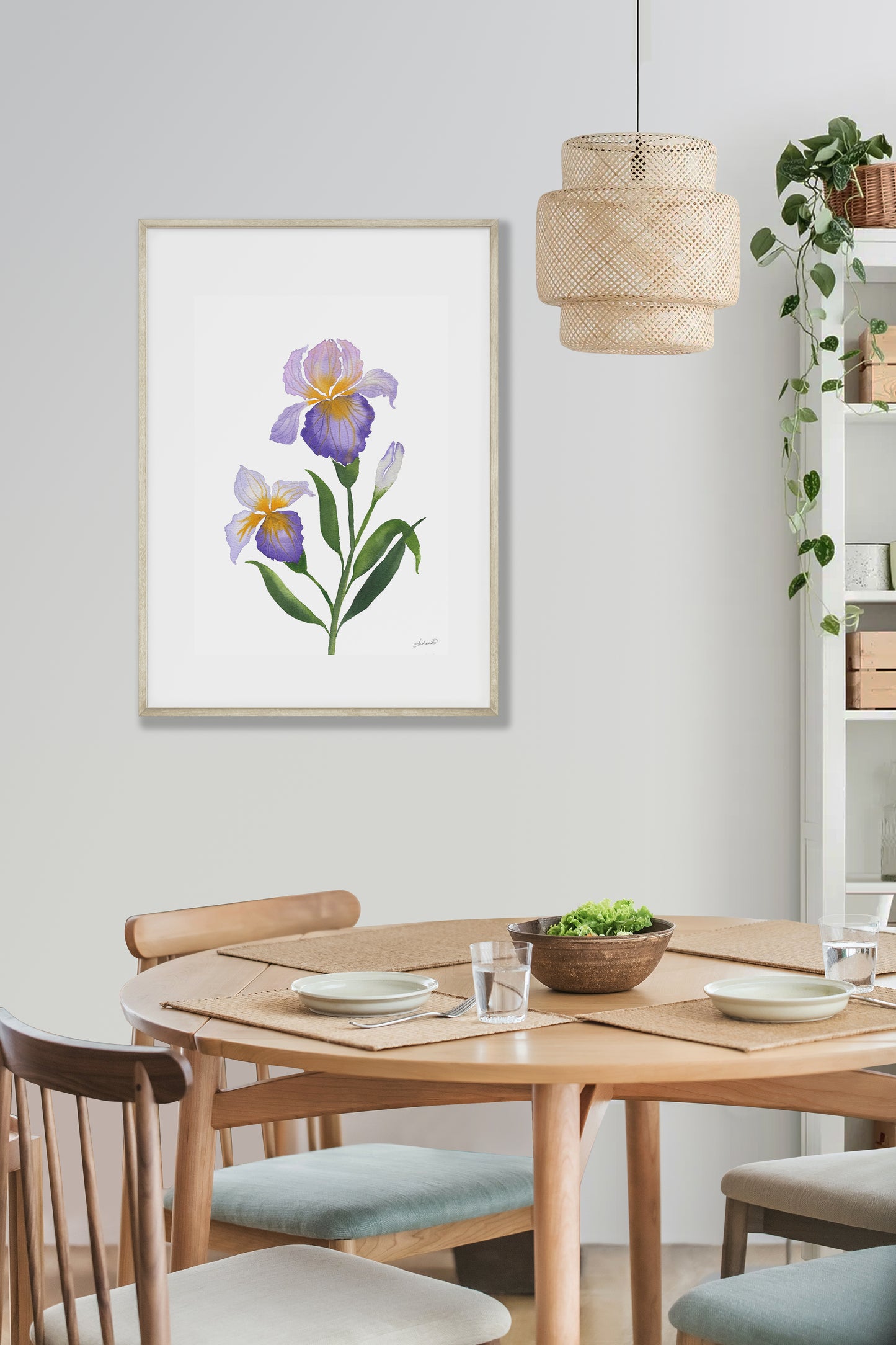 Set of 5, Bearded Iris Collection of Watercolor Fine Art Prints