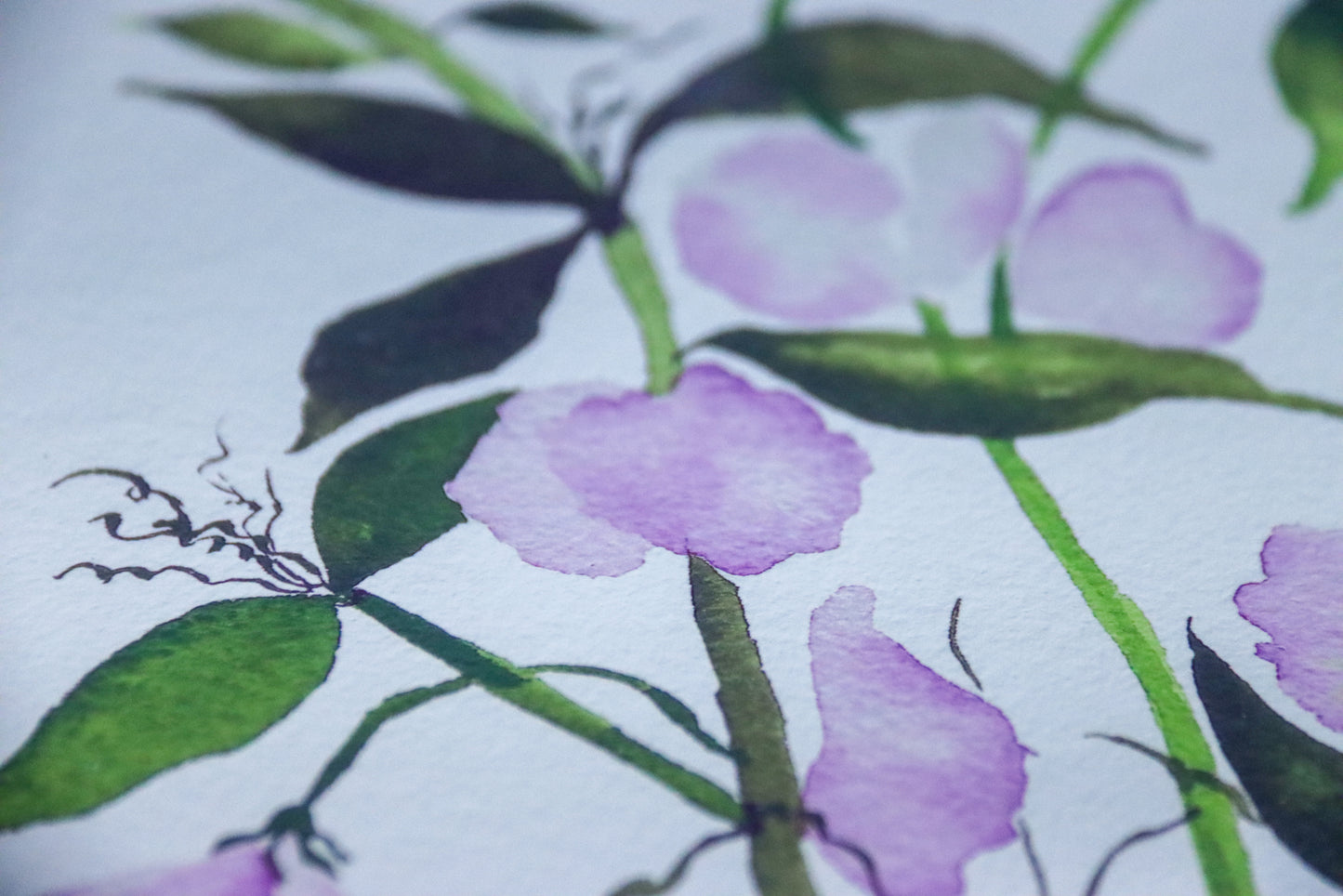 NEW! Lilac Sweet Peas Watercolor Fine Art Print