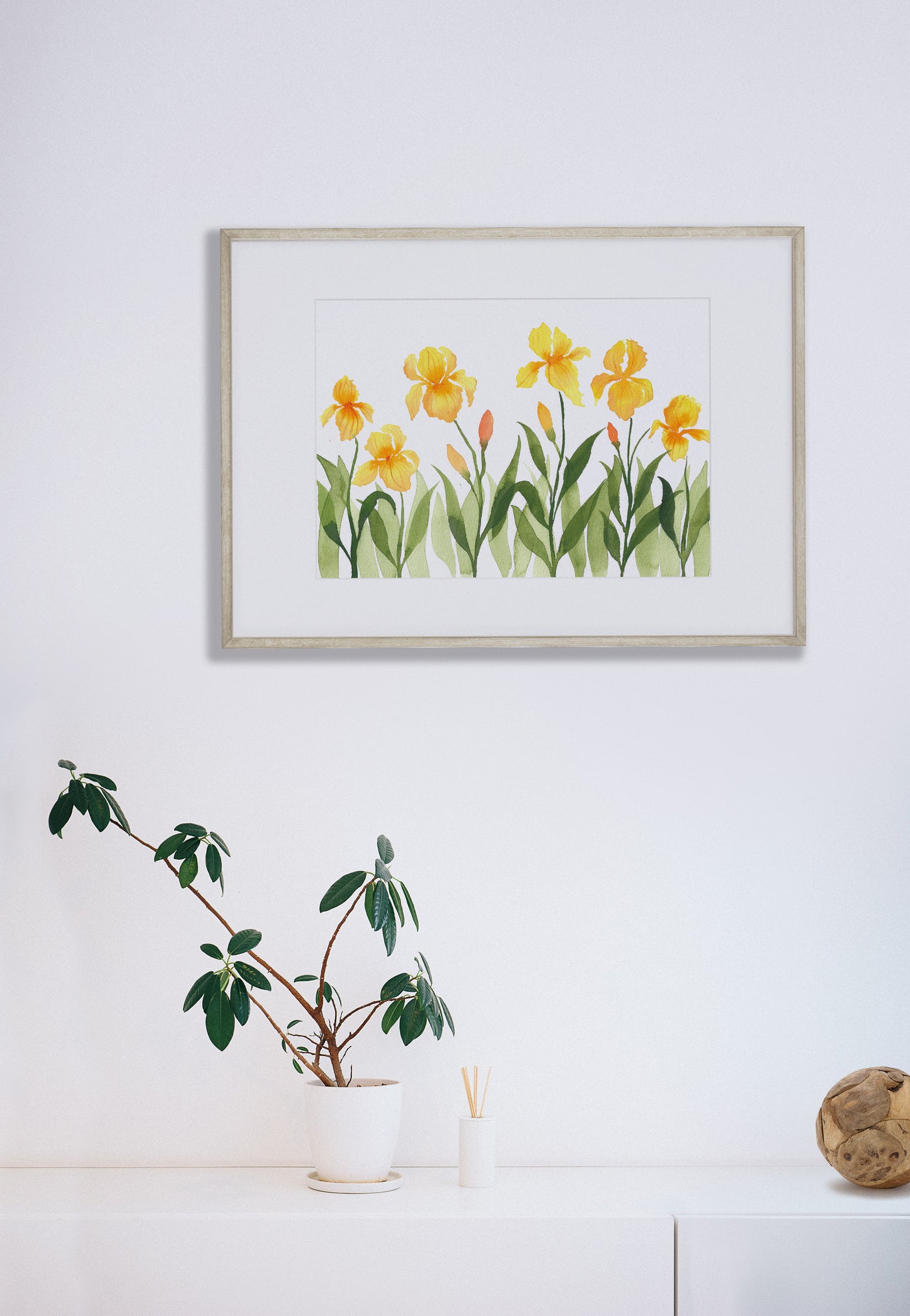 Yellow Bearded Iris Field Watercolor Fine Art Print