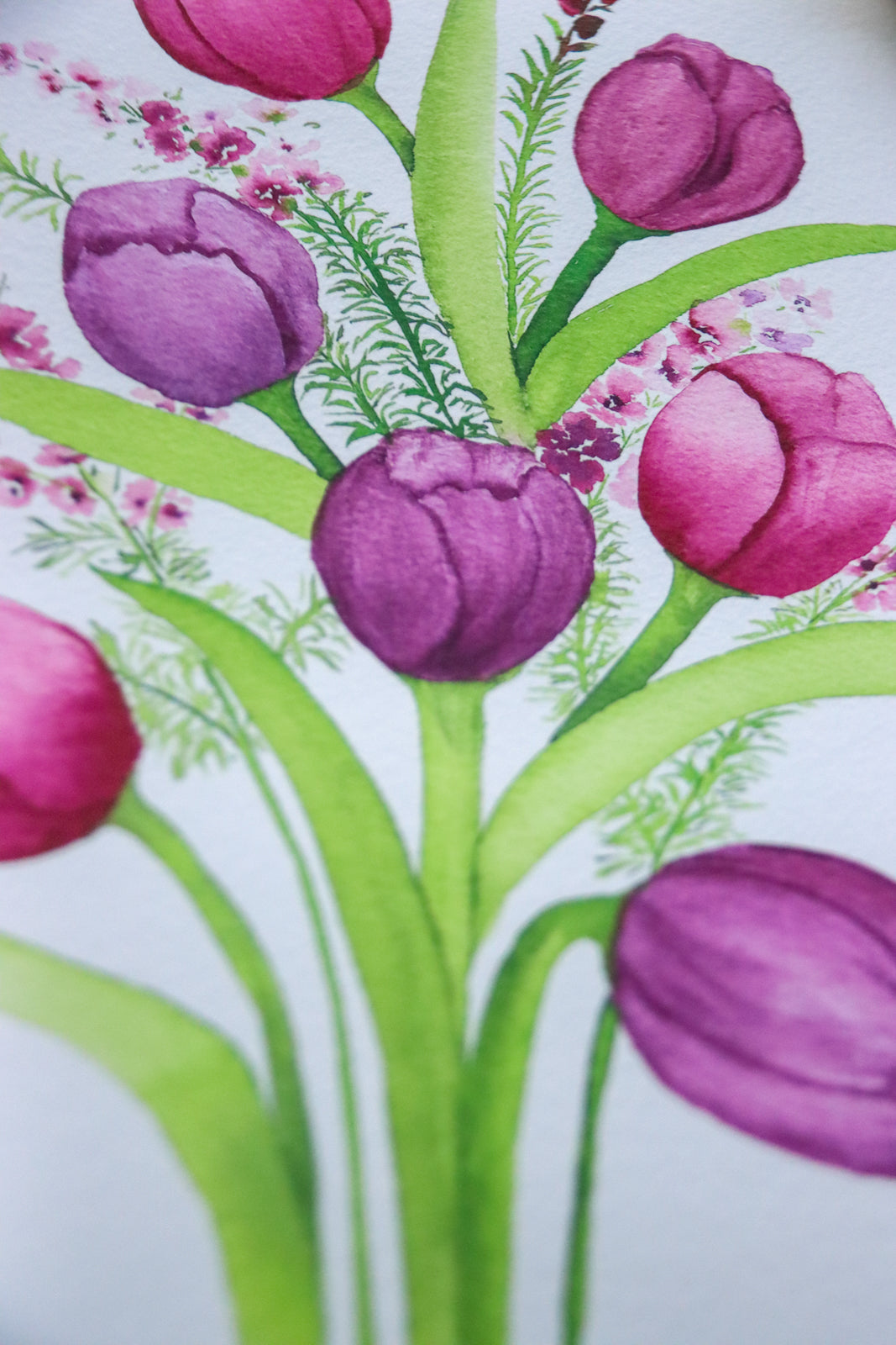 NEW! Pink and Purple Tulips Fine Art Print