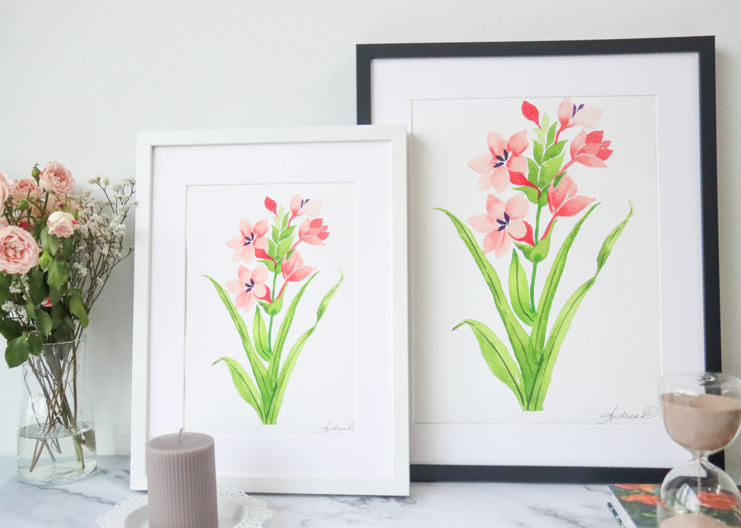 NEW! Peach Watsonia Meriana Fine Art Print