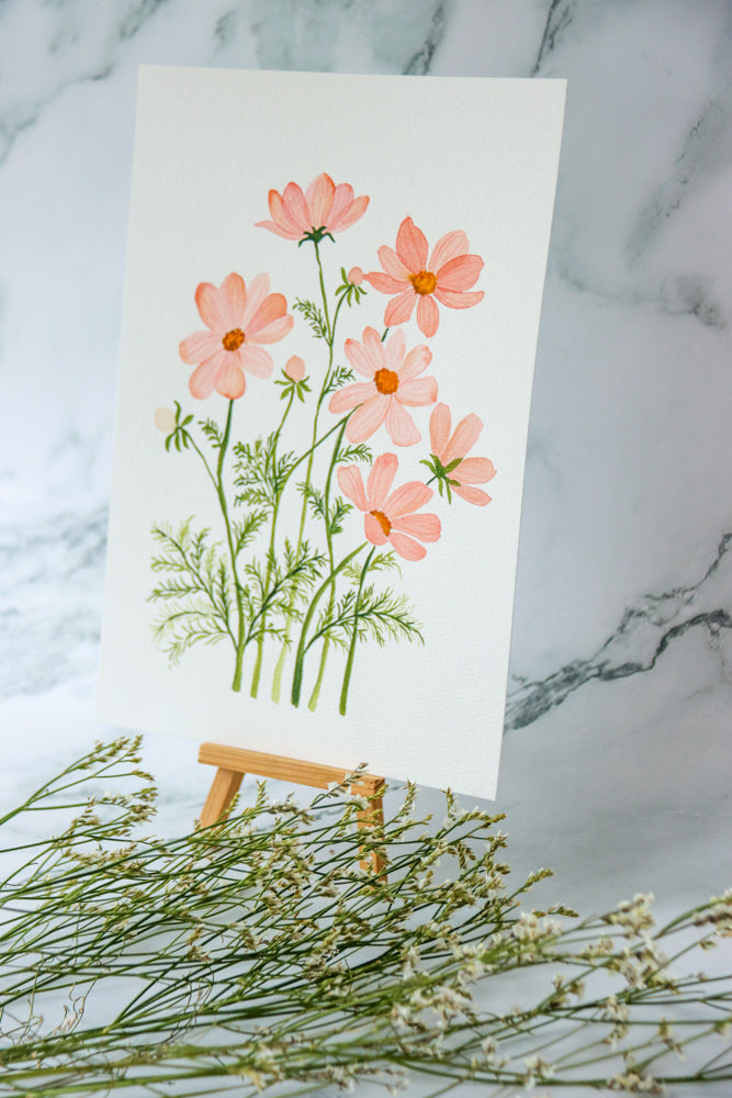 Peach Cosmos Watercolor Fine Art Print