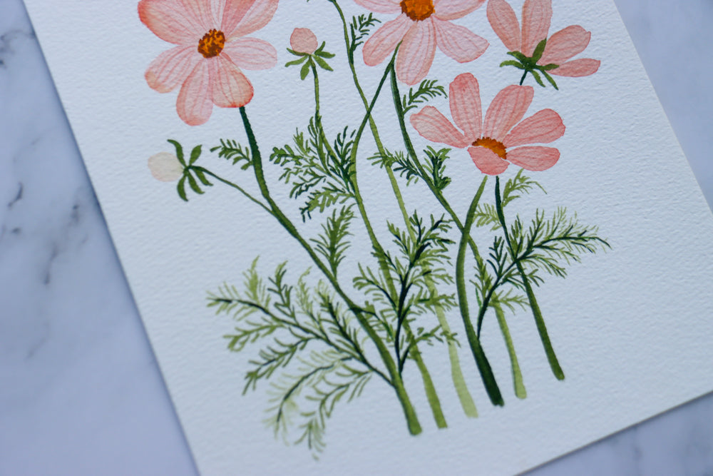 Peach Cosmos Watercolor Fine Art Print