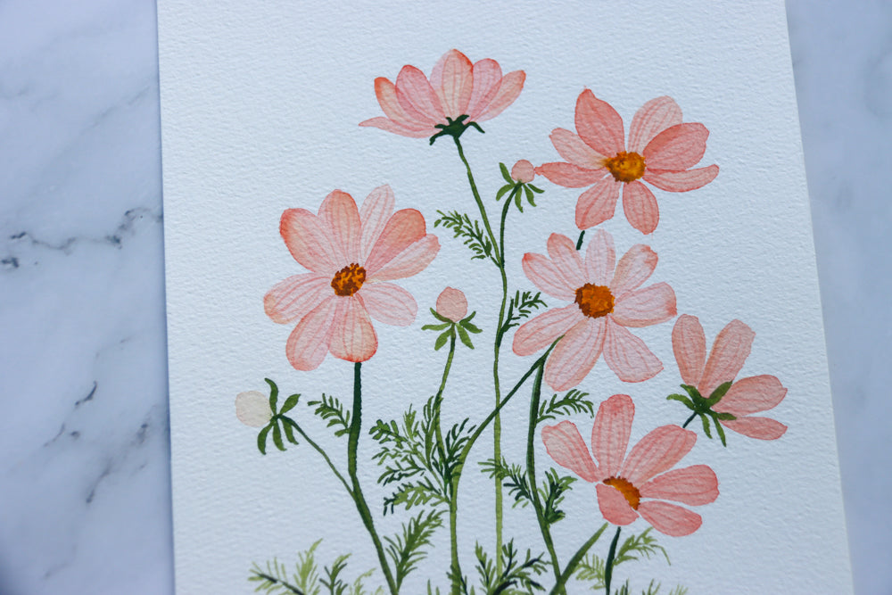 Peach Cosmos Watercolor Fine Art Print