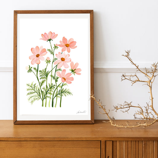 Peach Cosmos Watercolor Fine Art Print